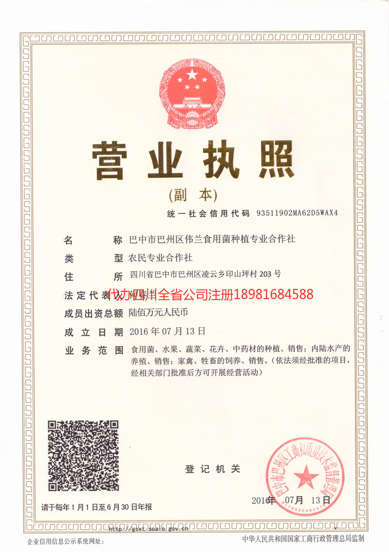 大连大连伟兰食用菌种植专业合作社